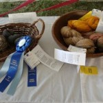 S&G Display